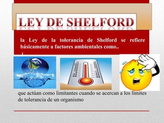 la Ley de la tolerancia de Shelford se refiere
 básicamente a factores ambientales como..
  l




que actúan como limitantes cuando se acercan a los límites
de tolerancia de un organismo
 