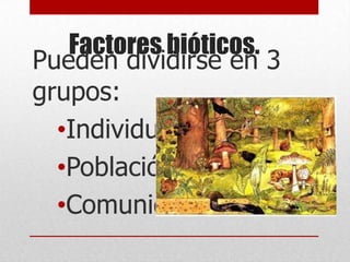 Factores bióticos.
Pueden dividirse en 3
grupos:
  •Individuo.
  •Población.
  •Comunidad.
 