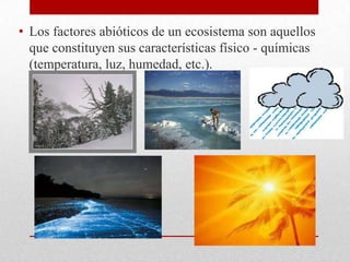 • Los factores abióticos de un ecosistema son aquellos
  que constituyen sus características físico - químicas
  (temperatura, luz, humedad, etc.).
 