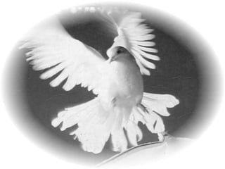 PresentacióN1trabajo De Lengua