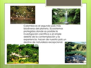 Colombia es el segundo país más
biodiverso del planeta. Ecosistemas
protegidos donde es posible la
investigación científica o el simple
deleite de la contemplación y la
experiencia, hacen de nuestro país un
destino de naturaleza excepcional.

 