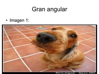 Gran angular Imagen 1: 
