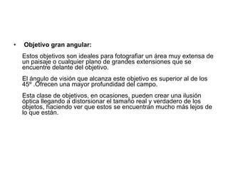 Objetivo gran angular: Estos objetivos son ideales para fotografiar un área muy extensa de un paisaje o cualquier plano de grandes extensiones que se encuentre delante del objetivo. El ángulo de visión que alcanza este objetivo es superior al de los 45º .Ofrecen una mayor profundidad del campo. Esta clase de objetivos, en ocasiones, pueden crear una ilusión óptica llegando a distorsionar el tamaño real y verdadero de los objetos, haciendo ver que estos se encuentran mucho más lejos de lo que están. 