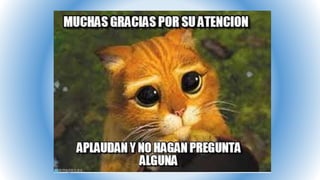 Presentación1 vivian