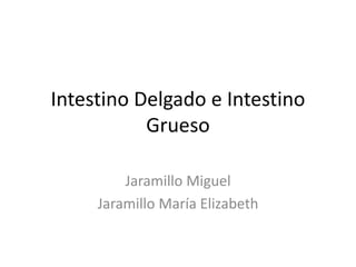 Intestino Delgado e Intestino
Grueso
Jaramillo Miguel
Jaramillo María Elizabeth
 