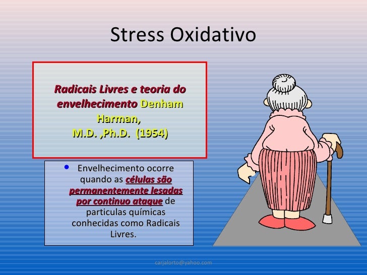 Guia alimentar para dm2 diabetes tipo 2 Estrés oxidativo en enfermedades degenerativas crónicas