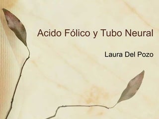 Acido F ólico y Tubo Neural Laura Del Pozo 