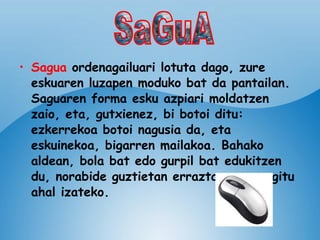 Sagua  ordenagailuari lotuta dago, zure eskuaren luzapen moduko bat da pantailan. Saguaren forma esku azpiari moldatzen zaio, eta, gutxienez, bi botoi ditu: ezkerrekoa botoi nagusia da, eta eskuinekoa, bigarren mailakoa. Bahako aldean, bola bat edo gurpil bat edukitzen du, norabide guztietan erraztasunez mugitu ahal izateko. SaGuA 