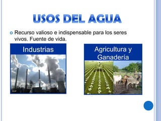 Recurso valioso e indispensable para los seres vivos. Fuente de vida.Industrias Agricultura y GanaderíaUSOS DEL AGUA