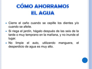 Reduzca el consumo del agua y el de contaminantes: detergentes, lejía, productos de limpieza, insecticidas y tóxicos en general.