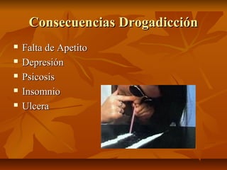 Consecuencias DrogadicciónConsecuencias Drogadicción
 Falta de ApetitoFalta de Apetito
 DepresiónDepresión
 PsicosisPsicosis
 InsomnioInsomnio
 UlceraUlcera
 