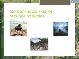 Contaminación de los
recursos naturales.
 