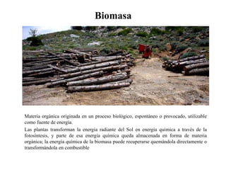 BiomasaMateria orgánica originada en un proceso biológico, espontáneo o provocado, utilizable como fuente de energía.Las plantas transforman la energía radiante del Sol en energía química a través de la fotosíntesis, y parte de esa energía química queda almacenada en forma de materia orgánica; la energía química de la biomasa puede recuperarse quemándola directamente o transformándola en combustible 