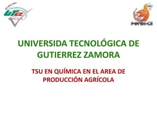 UNIVERSIDA TECNOLÓGICA DE GUTIERREZ ZAMORA TSU EN QUÍMICA EN EL AREA DE PRODUCCIÓN AGRÍCOLA 