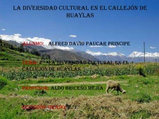 La diversidad cultural en el callejón de Huaylas ALUNMO:   ALFRED DAVID PAUCAR PRINCIPE	 TEMA:        LA DIVERSIDAD CULTURAL EN EL CALLEJÓN DE HUAYLAS PROFESOR: ALDO BRICEÑO MEJÍA SECCIOÓN-GRADO: 2 “F” 