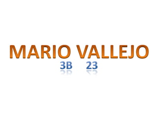 MARIO VALLEJO 3b     23 