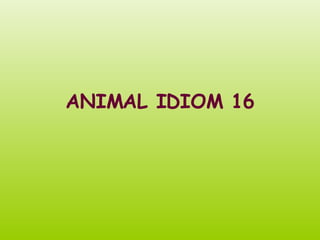 ANIMAL IDIOM 16 