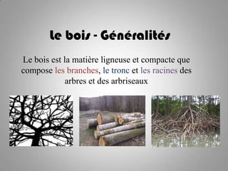 Le bois - Généralités
Le bois est la matière ligneuse et compacte que
compose les branches, le tronc et les racines des
             arbres et des arbriseaux
 