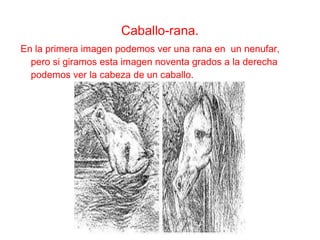 Caballo-rana. En la primera imagen podemos ver una rana en  un nenufar, pero si giramos esta imagen noventa grados a la derecha podemos ver la cabeza de un caballo. 