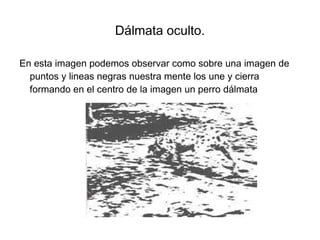 Dálmata oculto. En esta imagen podemos observar como sobre una imagen de puntos y lineas negras nuestra mente los une y cierra formando en el centro de la imagen un perro dálmata 