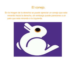 El conejo. En la imagen de la derecha se puede apreciar un conejo que esta mirando hacia la derecha, sin embargo puede parecerse a un pato que esta mirando a la izquierda.  