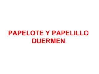 PAPELOTE Y PAPELILLO
DUERMEN