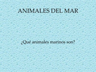 ANIMALES DEL MAR




¿Qué animales marinos son?
 