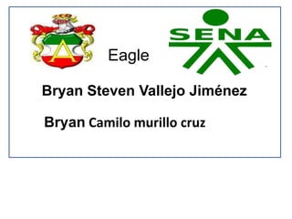 Eagle
Bryan Camilo murillo cruz
Bryan Steven Vallejo Jiménez
 