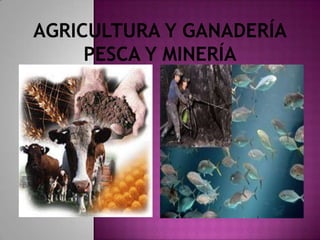AGRICULTURA Y GANADERÍA
     PESCA Y MINERÍA
 