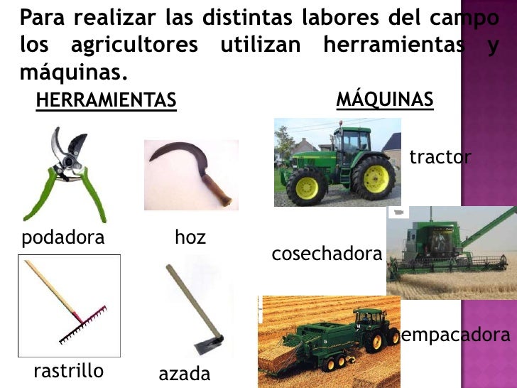 PROFESIONES PROFESIONES