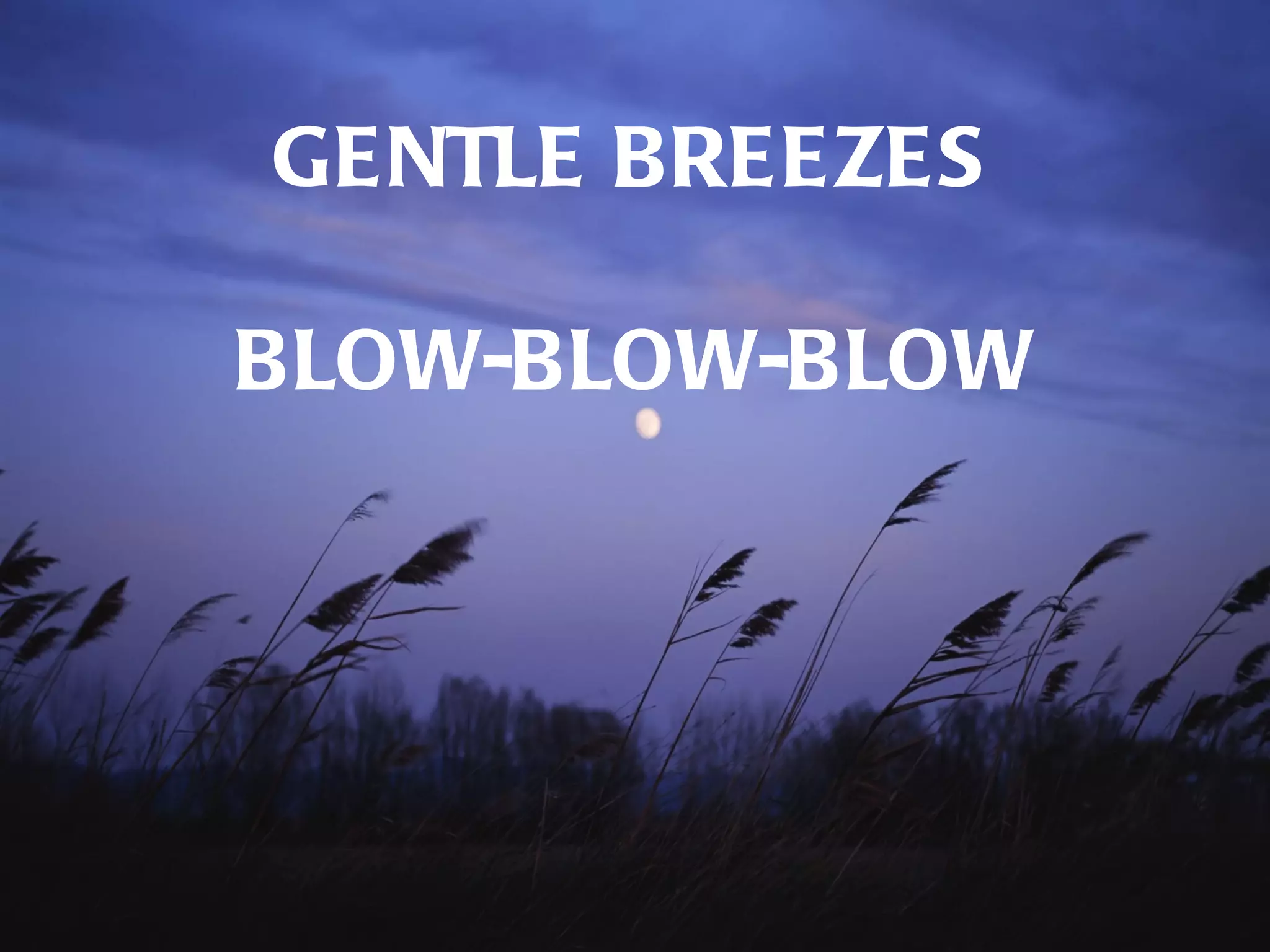 GENTLE BREEZES

BLOW-BLOW-BLOW
 