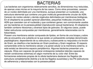 BACTERIAS
Las bacterias son organismos relativamente sencillos, de dimensiones muy reducidas,
de apenas unas micras en la mayoría de los casos. Como otros procariotas, carecen
de un núcleo delimitado por una membrana, aunque presentan un nucleoide, una
estructura elemental que contiene una gran molécula generalmente circular de ADN.
Carecen de núcleo celular y demás orgánulos delimitados por membranas biológicas.
En el citoplasma se pueden apreciar plásmidos, pequeñas moléculas circulares de
ADN que coexisten con el nucleoide y que contienen genes: son comúnmente usados
por las bacterias en la parasexualidad (reproducción sexual bacteriana). El citoplasma
también contiene ribosomas y diversos tipos de gránulos. En algunos casos, puede
haber estructuras compuestas por membranas, generalmente relacionadas con la
fotosíntesis.
Poseen una membrana celular compuesta de lípidos, en forma de una bicapa y sobre
ella se encuentra una cubierta en la que existe un polisacárido complejo denominado
peptidoglicano; dependiendo de su estructura y subsecuente su respuesta a la tinción
de Gram, se clasifica a las bacterias en Gram positivas y Gram negativas. El espacio
comprendido entre la membrana celular y la pared celular (o la membrana externa, si
esta existe) se denomina espacio periplásmico. Algunas bacterias presentan una
cápsula. Otras son capaces de generar endosporas (estadios latentes capaces de
resistir condiciones extremas) en algún momento de su ciclo vital. Entre las
formaciones exteriores propias de la célula bacteriana destacan los flagelos (de
estructura completamente distinta a la de los flagelos eucariotas) y los Pili (estructuras
de adherencia y relacionadas con la parasexualidad
 