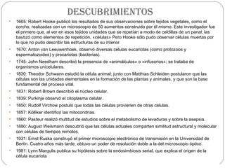 descubrimientos
•   1665: Robert Hooke publicó los resultados de sus observaciones sobre tejidos vegetales, como el
    corcho, realizadas con un microscopio de 50 aumentos construido por él mismo. Este investigador fue
    el primero que, al ver en esos tejidos unidades que se repetían a modo de celdillas de un panal, las
    bautizó como elementos de repetición, «células» Pero Hooke sólo pudo observar células muertas por
    lo que no pudo describir las estructuras de su interior
•   1670: Anton van Leeuwenhoek, observó diversas células eucariotas (como protozoos y
    espermatozoides) y procariotas (bacterias).
•   1745: John Needham describió la presencia de «animálculos» o «infusorios»; se trataba de
    organismos unicelulares.
•   1830: Theodor Schwann estudió la célula animal; junto con Matthias Schleiden postularon que las
    células son las unidades elementales en la formación de las plantas y animales, y que son la base
    fundamental del proceso vital.
•   1831: Robert Brown describió el núcleo celular.
•   1839: Purkinje observó el citoplasma celular.
•   1850: Rudolf Virchow postuló que todas las células provienen de otras células.
•   1857: Kölliker identificó las mitocondrias.
•   1860: Pasteur realizó multitud de estudios sobre el metabolismo de levaduras y sobre la asepsia.
•   1880: August Weismann descubrió que las células actuales comparten similitud estructural y molecular
    con células de tiempos remotos.
•   1931: Ernst Ruska construyó el primer microscopio electrónico de transmisión en la Universidad de
    Berlín. Cuatro años más tarde, obtuvo un poder de resolución doble a la del microscopio óptico.
•   1981: Lynn Margulis publica su hipótesis sobre la endosimbiosis serial, que explica el origen de la
    célula eucariota
 