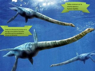 Todos vivieron en la
misma época y
fueron reptiles
Todos los dinosaurios tenían en la
barriga unas piedras llamadas
astrolitos que les ayudaban a
triturar el alimento