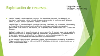 Explotación de recursos
 La vida vegetal y animal ha sido utilizada por el hombre por siglos, sin embargo, la
constante explotación indiscriminada de estos recursos por la sociedad, podría causar
daños al propio hombre y a la vida vegetal y animal.
La población se beneficia de los recursos naturales, utilizados, en ocasiones, sin medida y
provocando el deterioro del medio ambiente; los bosques, por ejemplo, pueden
explotarse, si se siembran más árboles, así la reforestación preservará la flora y fauna del
bosque.
La tala inmoderada de zonas boscosas, la quema excesiva de campos para uso agrícola, la
explotación masiva de especies vegetales y animales, la caza furtiva y la contaminación a
la que está expuesta la naturaleza son algunas de las muchas causas por las que
actualmente la calidad de vida de la sociedad va disminuyendo.
El ser humano toma recursos, desde hace siglos, de su medio para proveerse de alimento,
hogar, vestido, etcétera. La sobrepoblación y la falta de conciencia ha ocasionado que se
abuse de dichos recursos.
Geografía a nivel
critico(Art. Miguel Sosa)
 