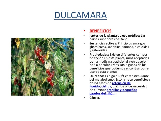 Plantas Medicinales