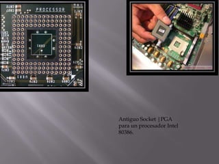 Antiguo Socket |PGA
para un procesador Intel
80386.
 