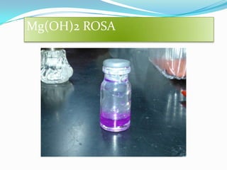 Mg(OH)2 ROSA
 