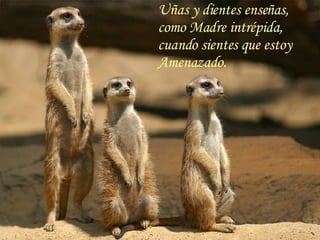 Uñas y dientes enseñas, como Madre intrépida, cuando sientes que estoy Amenazado.