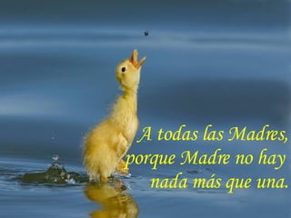 A todas las Madres, porque Madre no hay nada más que una.