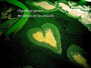 Orgullosa pasión , me llevas en tu corazón.