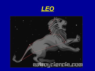 LEO 