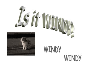 Is it WINDY? WINDY WINDY 