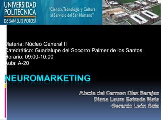 Materia: Núcleo General II
Catedrático: Guadalupe del Socorro Palmer de los Santos
Horario: 09:00-10:00
Aula: A-20
 