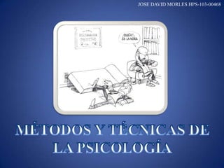 JOSE DAVID MORLES HPS-103-00468
 