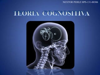 NEXTOR PEREZ HPS-131-00306
 