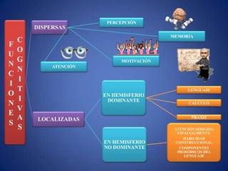 PERCEPCIÓN
        DISPERSAS
                                          MEMORIA
    C
F
    O
U
    G                        MOTIVACIÓN
N            ATENCIÓN
    N
C
    I
I
    T                                           LENGUAJE
O                       EN HEMISFERIO
    I                    DOMINANTE
N                                                CALCULO
    V
E
    A    LOCALIZADAS                              PRAXIS
S
    S                                      ATENCIÓN DIRIGIDA
                                            ESPACIALMENTE.
                                               HABILIDAD
                        EN HEMISFERIO       CONSTRUCCIONAL
                        NO DOMINANTE          COMPONENTES
                                             PROSÓDICOS DEL
                                                LENGUAJE
 