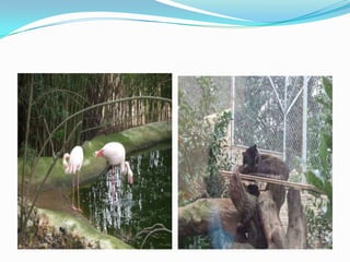 NATURA PARC