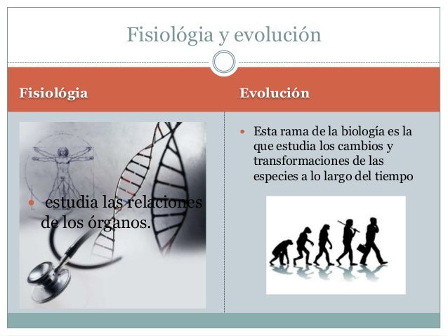 biologia y sus ramas