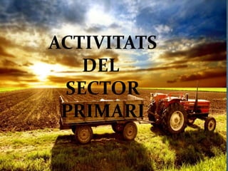 ACTIVITATS
DEL
SECTOR
PRIMARI
ACTIVITATS
DEL
SECTOR
PRIMARI
 